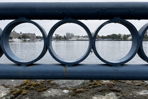 Vancouver Island 20240729 1020 11.20.41