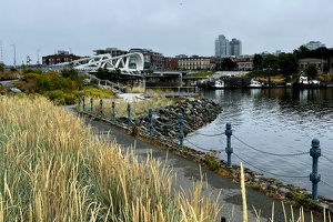 Vancouver Island 20240729 1022 11.22.27