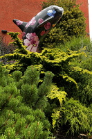 Vancouver Island 20240729 1032 11.32.35