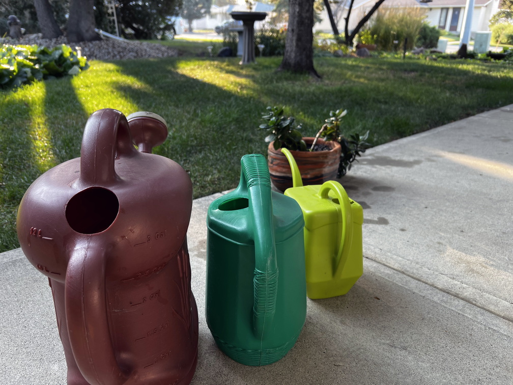 20240904.jpg